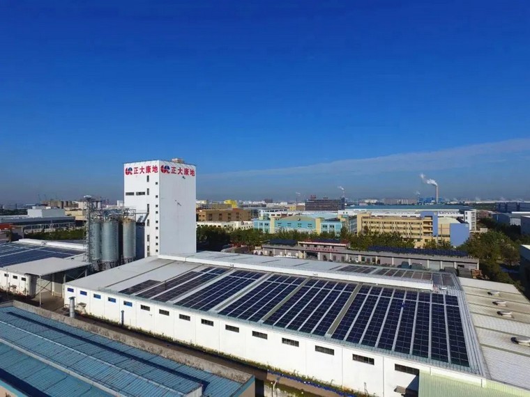 低碳新能源有什么，什么是低碳清潔新能源
